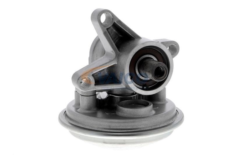 VAICO V25-1908 Mounting, engine
