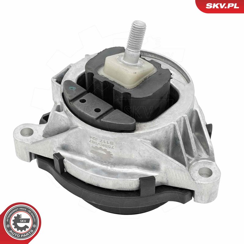 Paigutus, Mootor, ESEN SKV 75SKV087