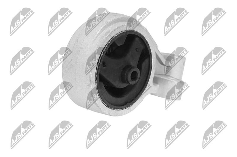 Paigutus, Mootor, NTY ZPS-KA-312