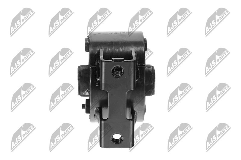 Paigutus, Mootor, NTY ZPS-CH-047