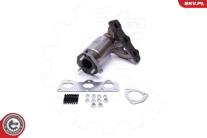 ESEN SKV 62SKV009 Catalytic Converter