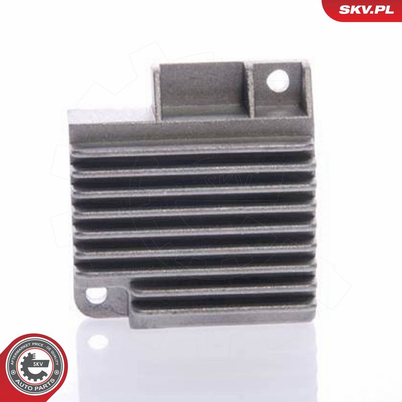 ESEN SKV 03SKV900 - Ignition Coil