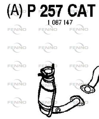 P257CAT.JPG