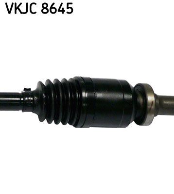 VKJC 8645_3.JPG