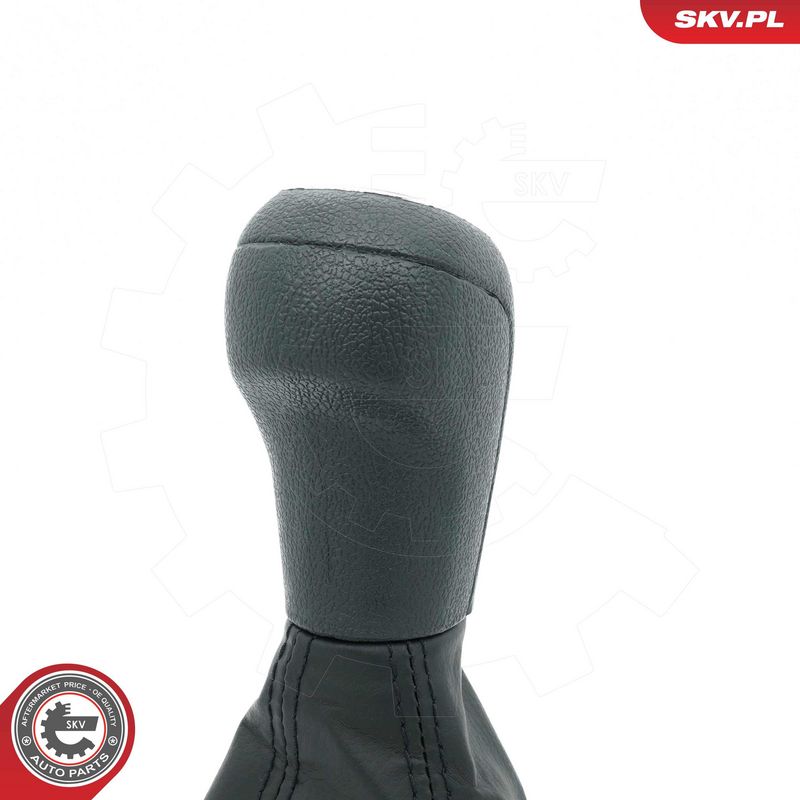 Käigukanginupp, ESEN SKV 63SKV481