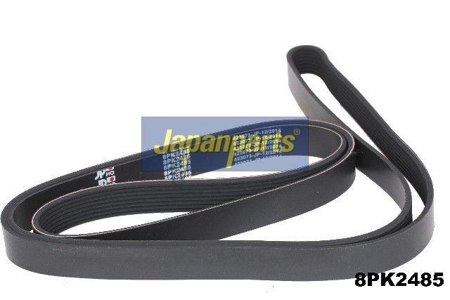 Curea transmisie cu caneluri JAPANPARTS DV-8PK2485