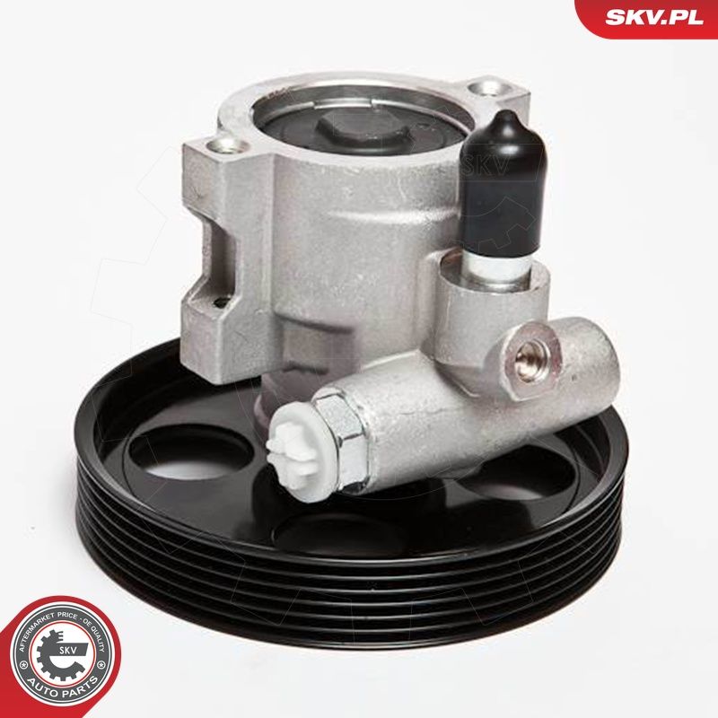 Hüdraulikapump, roolimine, ESEN SKV 10SKV069