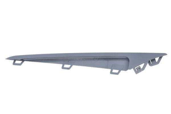 BLIC 6502-07-3555926P Trim/Protection Strip, bumper