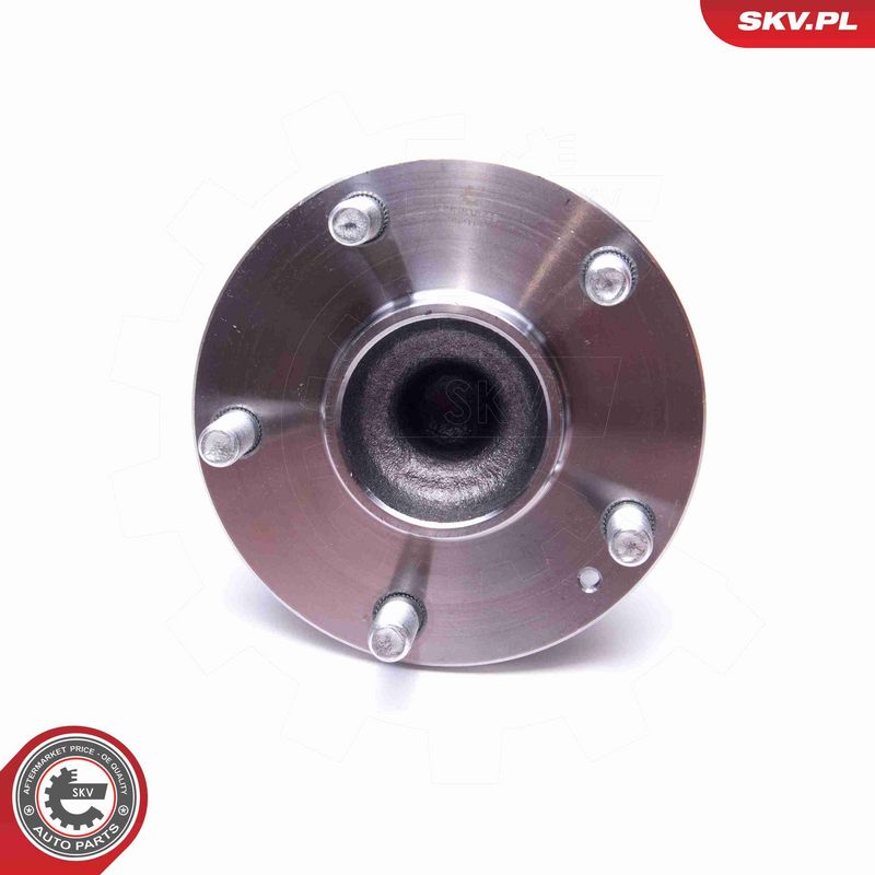 ESEN SKV 29SKV559 Wheel Bearing Kit