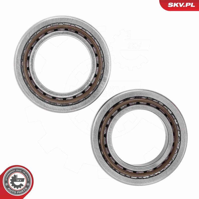 ESEN SKV 85SKV009 Wheel Bearing Kit
