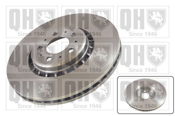 QH_BDC5356.JPG