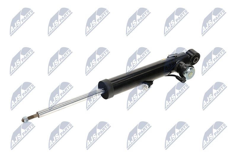 Amort, NTY A-PL-066