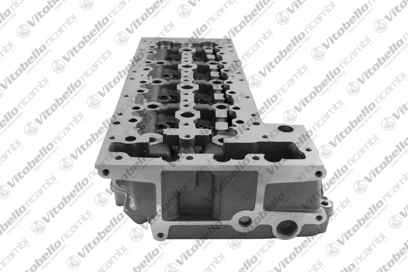Vitobello ricambi 1004483N Cylinder Head