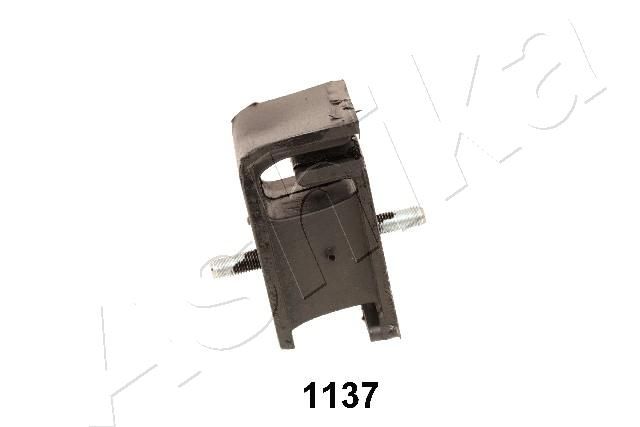 GOM-1137_1.JPG