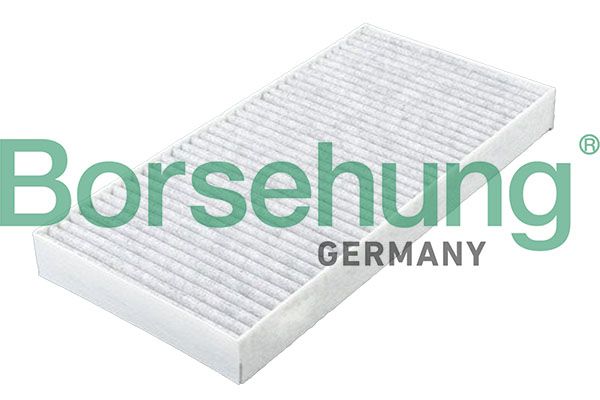Borsehung Filtras, salono oras