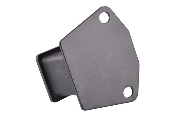 TEDGUM 00441699 Mounting, engine