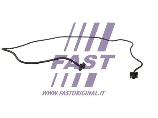 FT61160_1_1.JPG
