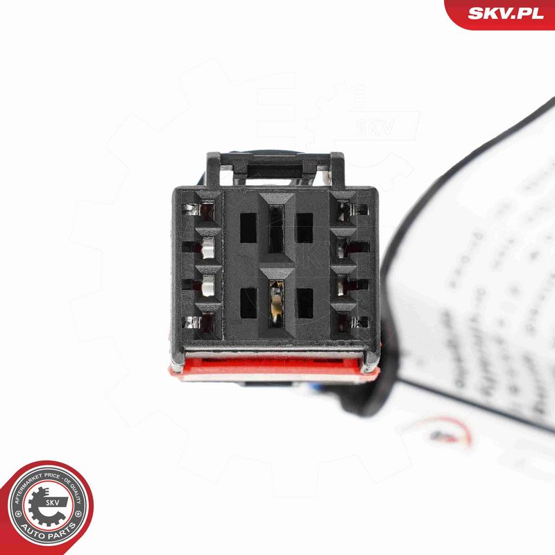 ESEN SKV 52SKV259 Electric Motor, tailgate