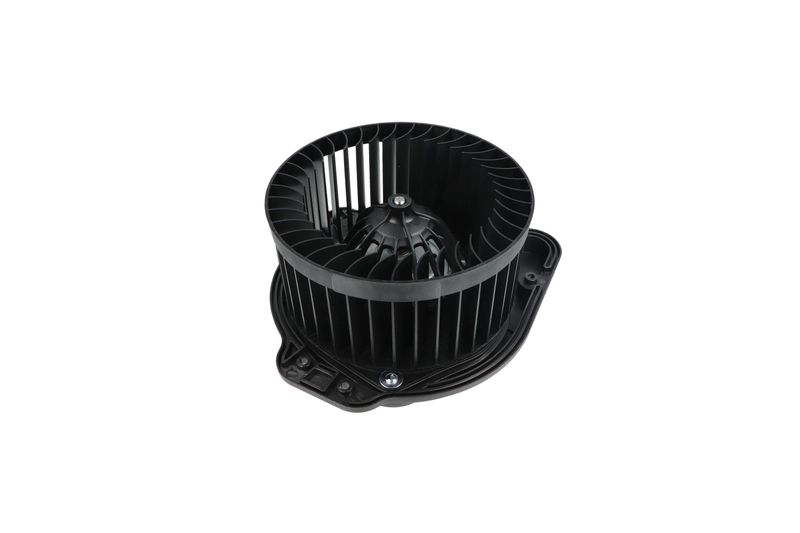 Salongipuhur, NRF 34136