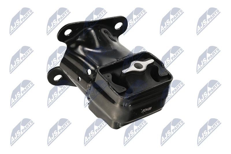 Paigutus, Mootor, NTY ZPS-CH-089