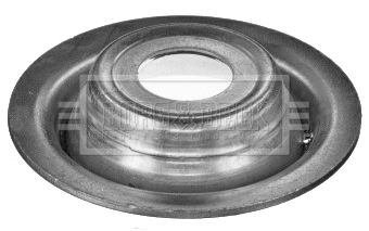 BSM5441_792647.JPG