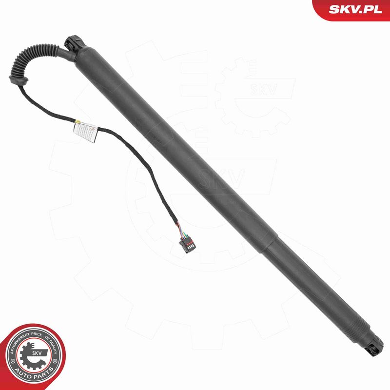 ESEN SKV 52SKV234 Electric Motor, tailgate