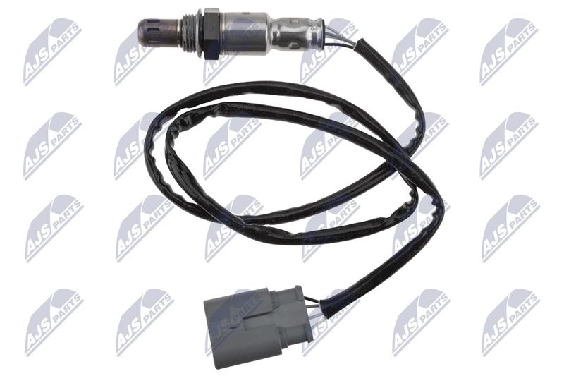 ESL-FT-008_1-WM.JPG