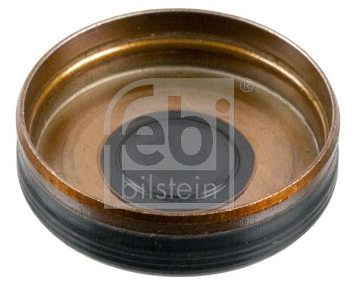 FEBI BILSTEIN 38327 Lock Cover, timing chain tensioner (mounting hole)