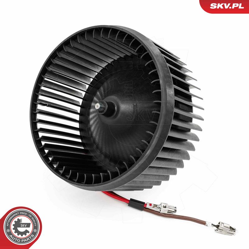 Salongipuhur, ESEN SKV...