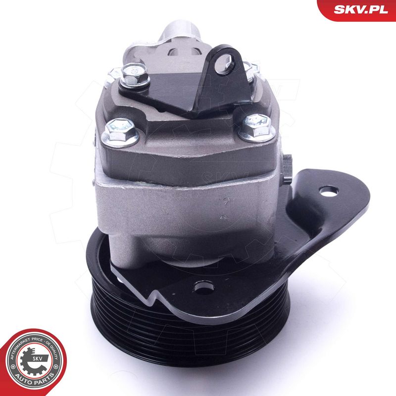 Hüdraulikapump, roolimine, ESEN SKV 10SKV310