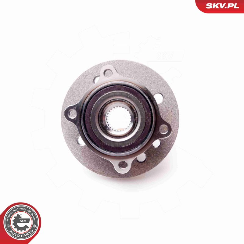 ESEN SKV 29SKV045 Wheel Bearing Kit