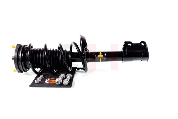 Vedruamort, GH GH-352388C01