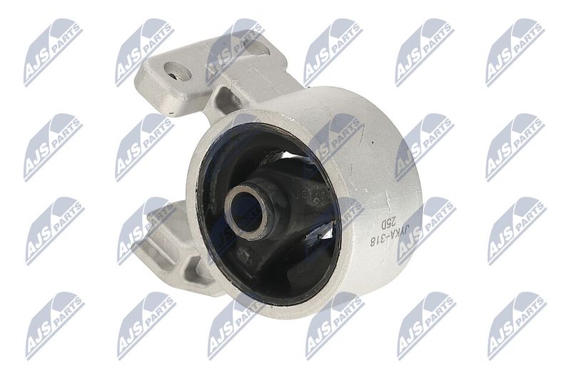 Paigutus, Mootor, NTY ZPS-KA-318