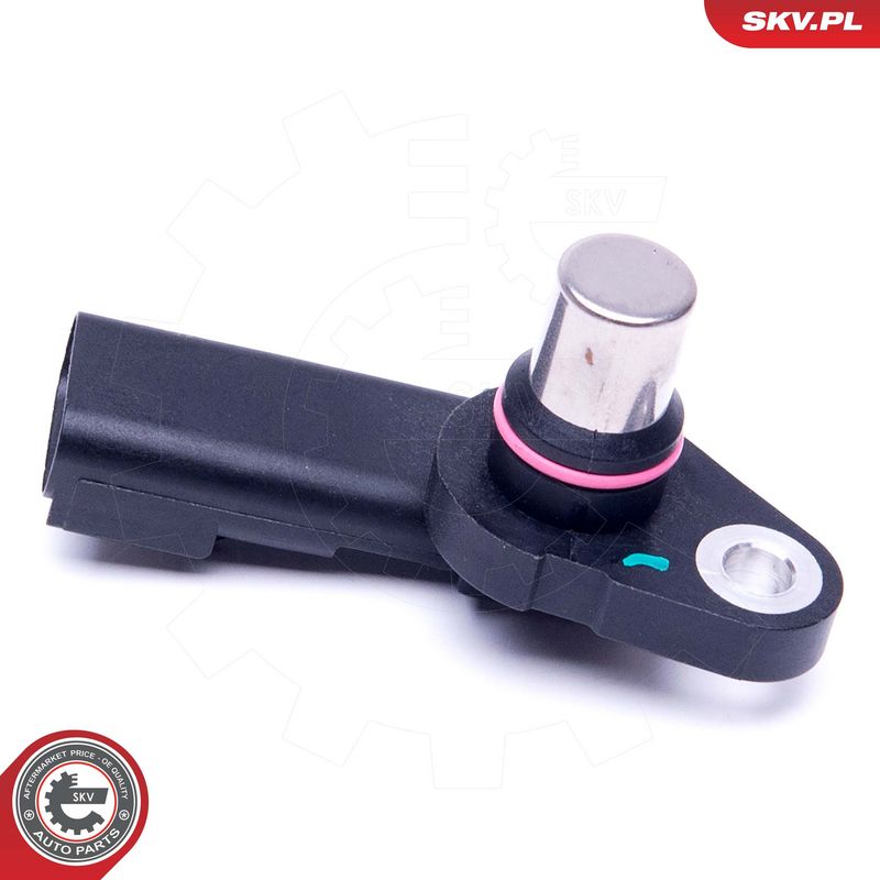 Andur, Nukkvõllipositsioon, ESEN SKV 17SKV493