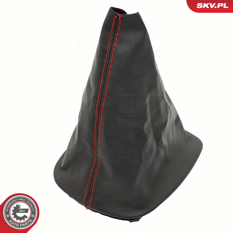 Käigukanginupp, ESEN SKV...