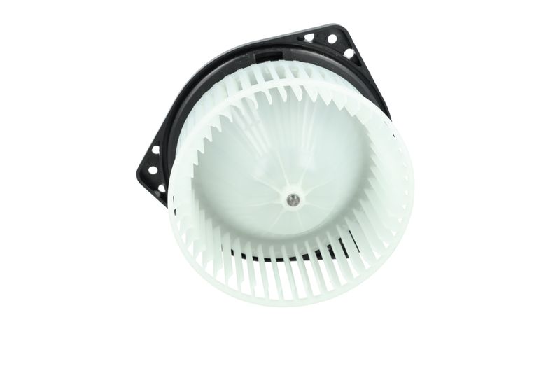 Salongipuhur, NRF 34303