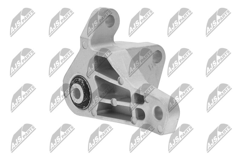 Paigutus, Mootor, NTY ZPS-FR-066