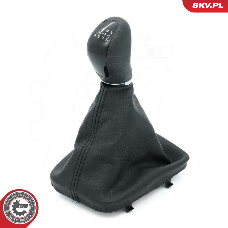 Käigukanginupp, ESEN SKV...