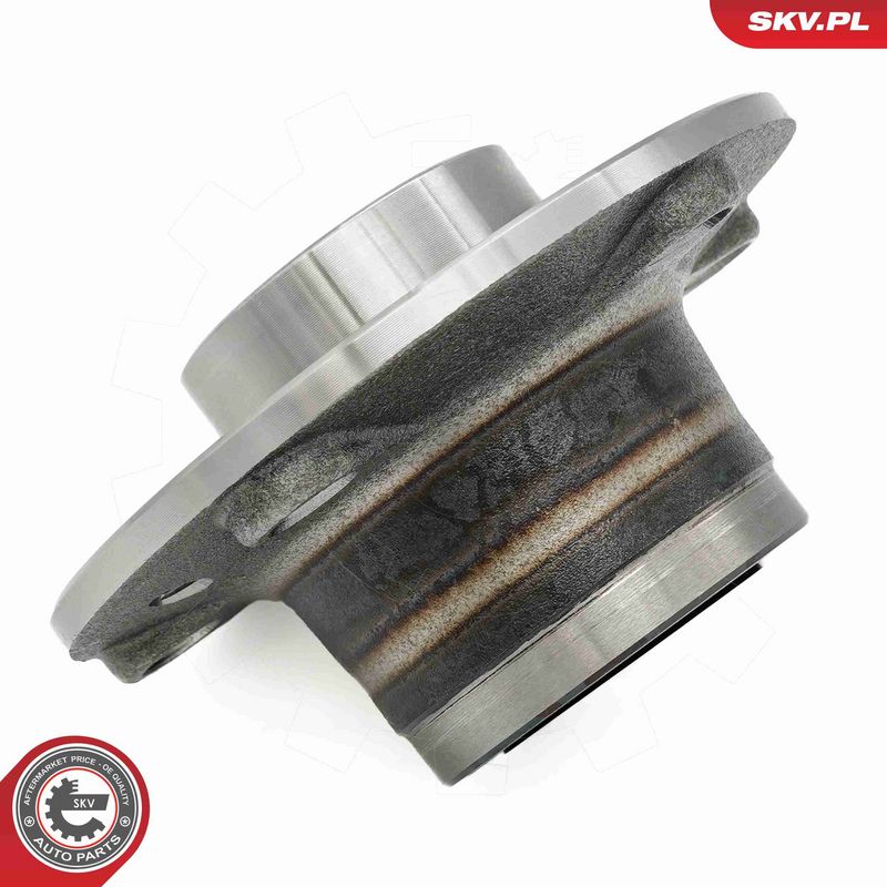 ESEN SKV 29SKV345 Wheel Bearing Kit