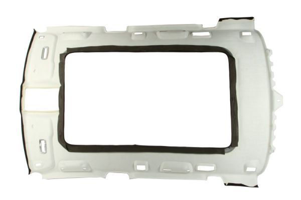 BLIC 6600-00-0035700CP Roof Inner Lining