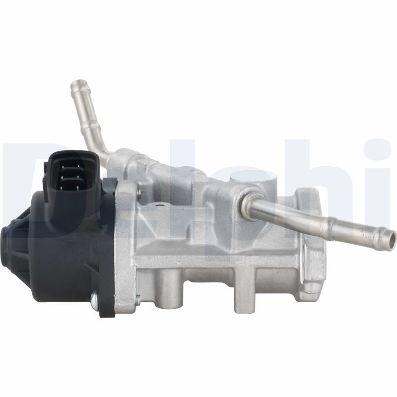 DELPHI EG10738-12B1 EGR Valve