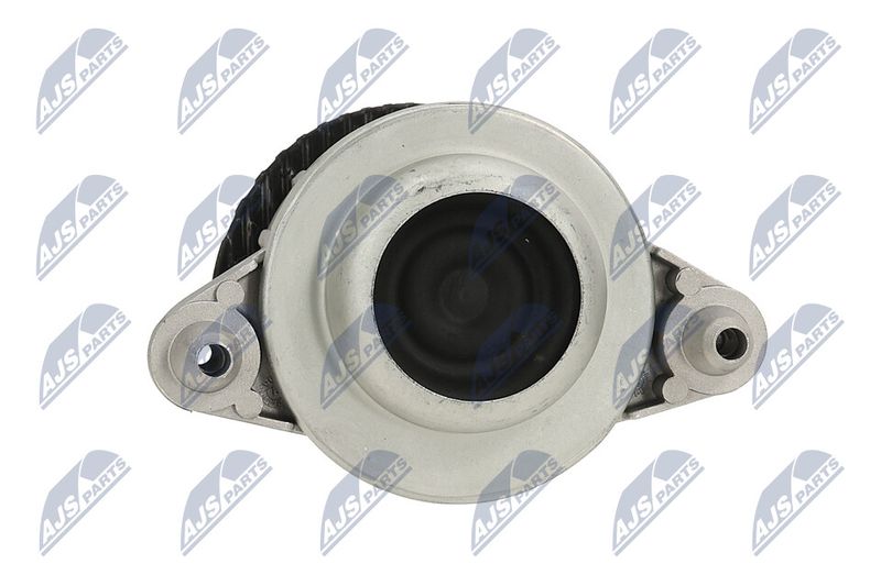 Paigutus, Mootor, NTY ZPS-ME-116