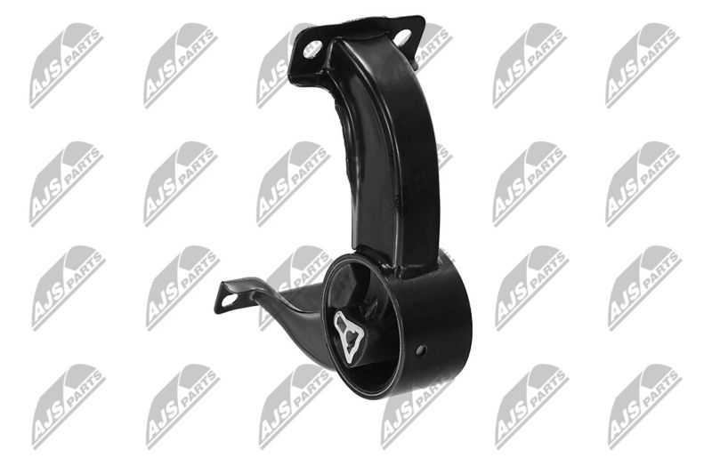 Paigutus, Mootor, NTY ZPS-CH-169