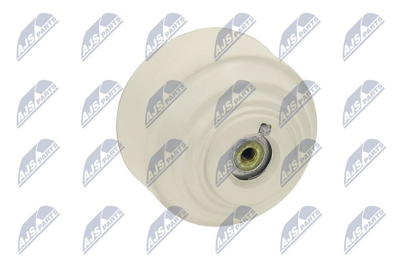 Paigutus, Mootor, NTY ZPS-ME-102