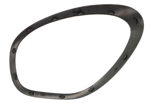 BLIC 6502-07-4003994P Frame, headlight