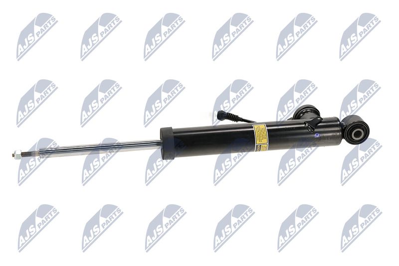 Amort, NTY A-PL-065