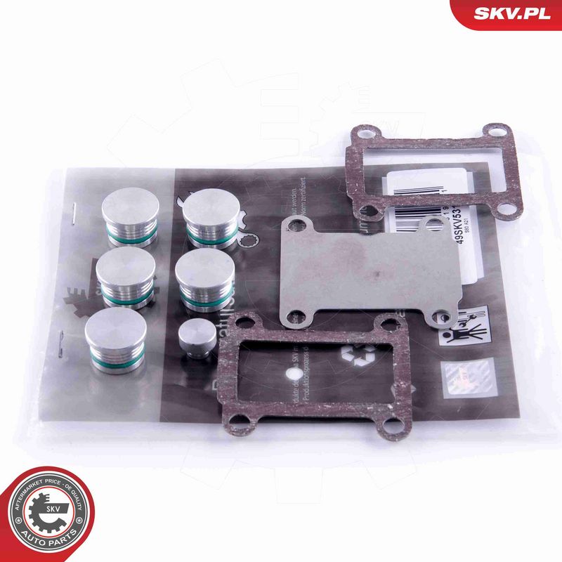 ESEN SKV 49SKV531 - Repair Kit, intake manifold module