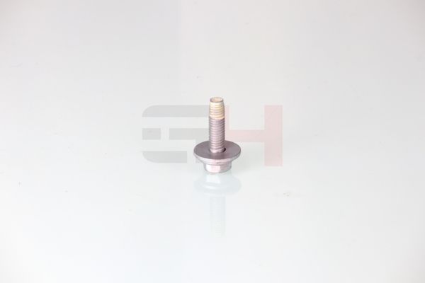 Vedruamordi tugilaager, GH GH-391511