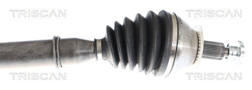 8540297048_3.JPG