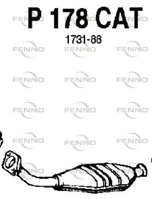 P178CAT.JPG